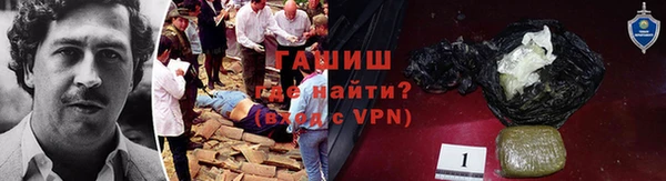 индика Россошь