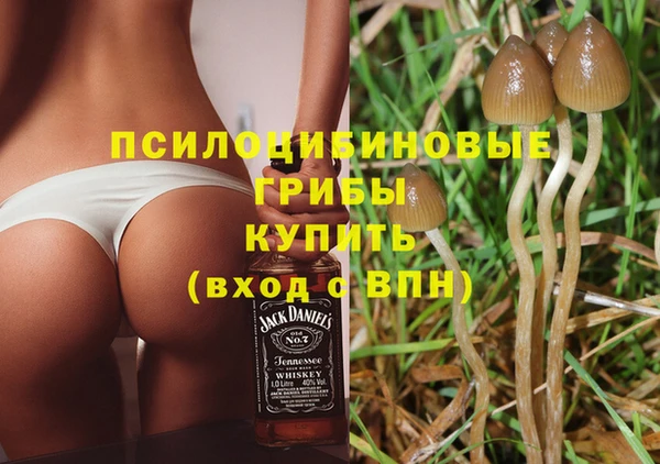 амф Рославль