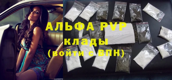 СК Гвардейск